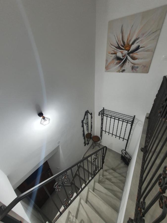 Apartman Stela 科尔丘拉 外观 照片